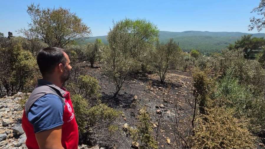 Muğla’da Yangından Etkilenen Üreticiler İçin Hasar Tespit Çalışmaları Sürüyor 3